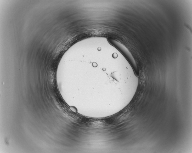 X0000103490456200810101027