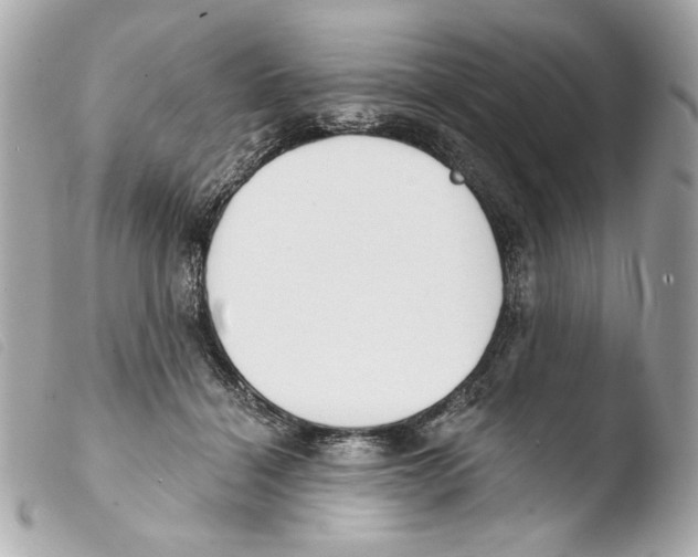 X0000103490460200810101027