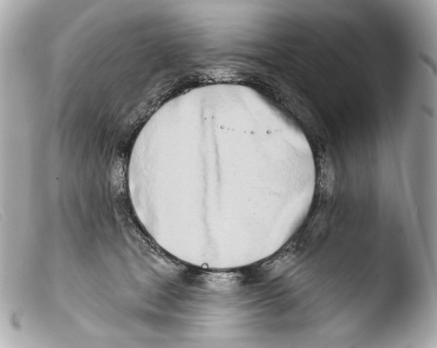 X0000103490465200810101027