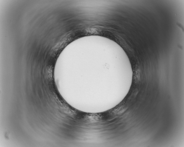 X0000103490466200810101027