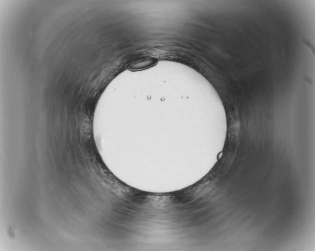 X0000103490469200810101027