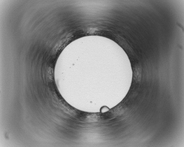 X0000103490470200810101027