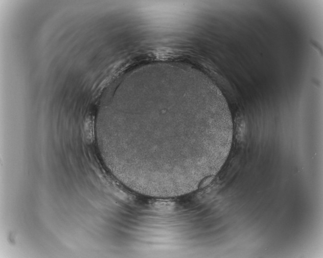 X0000103490471200810101027