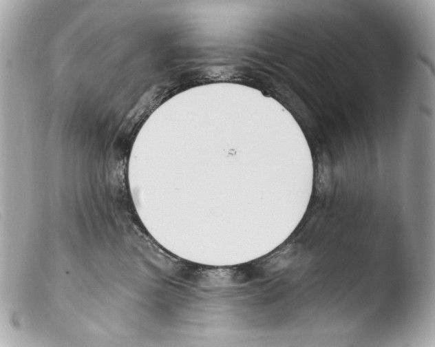 X0000103490473200810101027