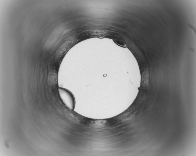 X0000103490474200810101027