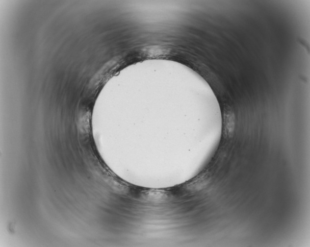 X0000103490475200810101027