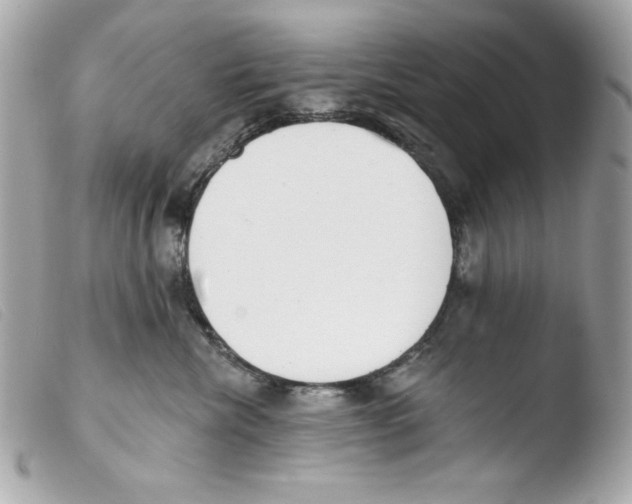 X0000103490476200810101027