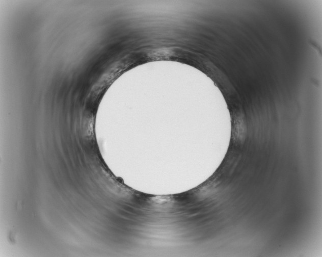 X0000103490477200810101027