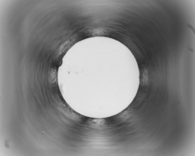 X0000103490478200810101027