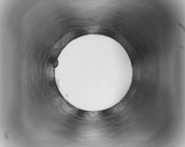 X0000103490479200810101027