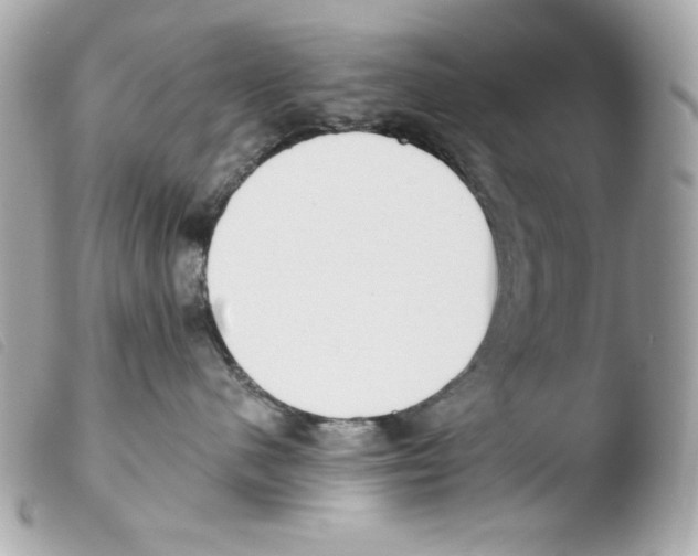 X0000103490480200810101027