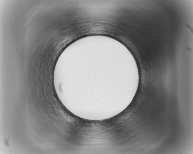 X0000103490481200810101026