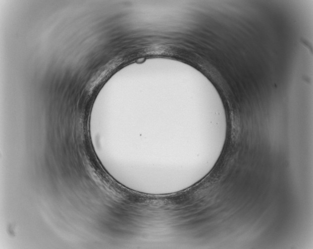 X0000103490482200810101026