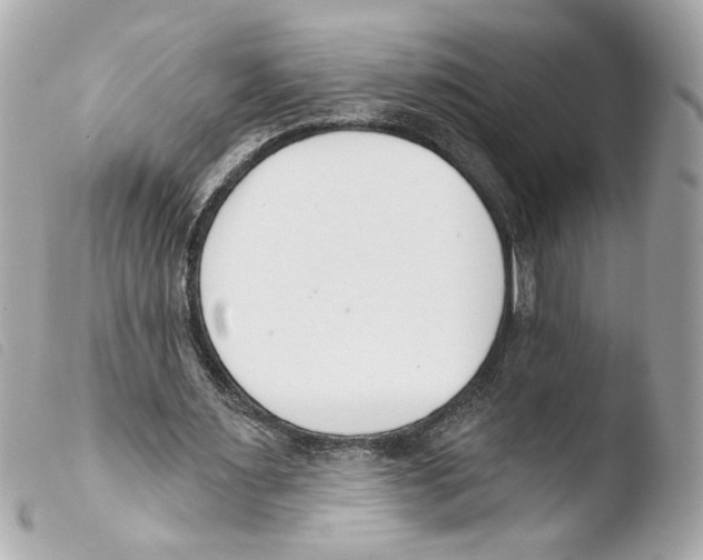 X0000103490483200810101026
