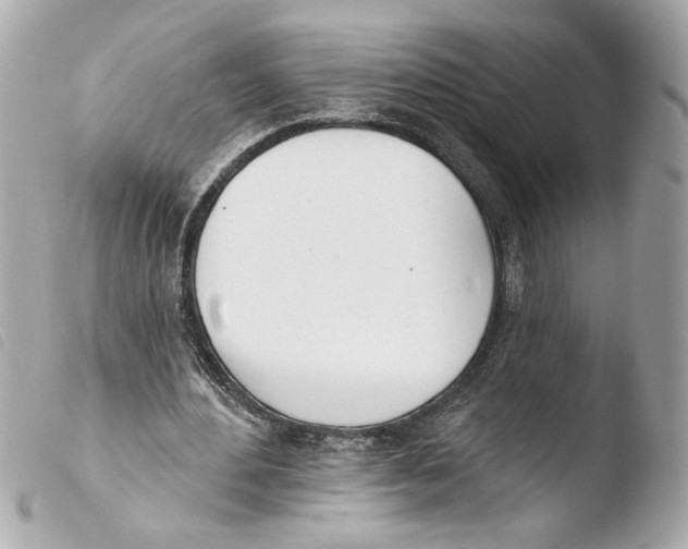 X0000103490484200810101026