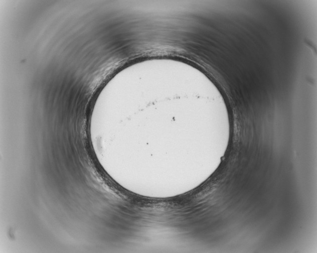 X0000103490485200810101026