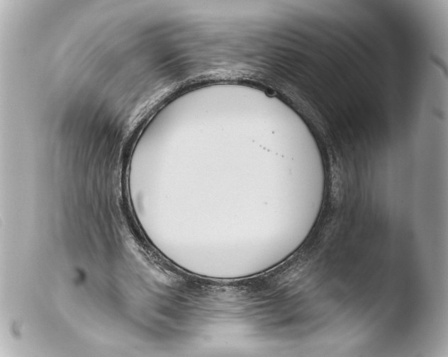 X0000103490486200810101026