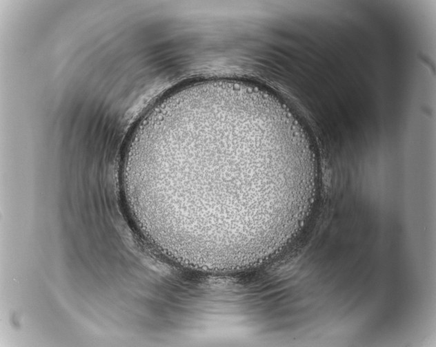 X0000103490487200810101026