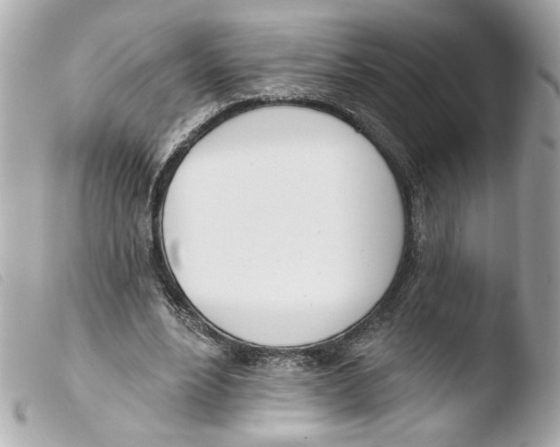 X0000103490488200810101026