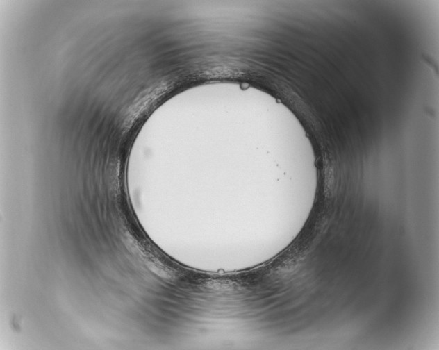 X0000103490490200810101026