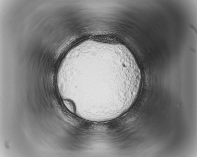 X0000103490491200810101026