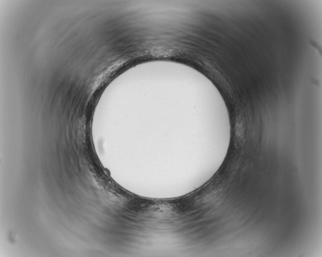 X0000103490492200810101026