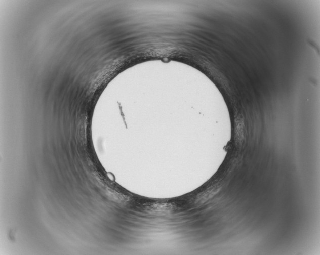 X0000103490493200810101026
