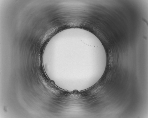 X0000103490494200810101026