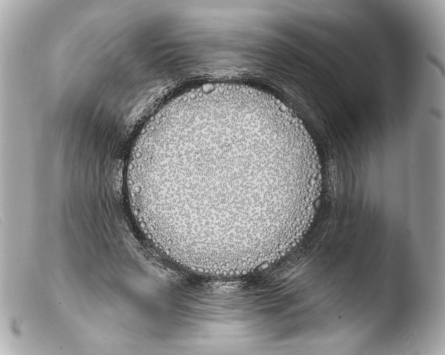 X0000103490495200810101026
