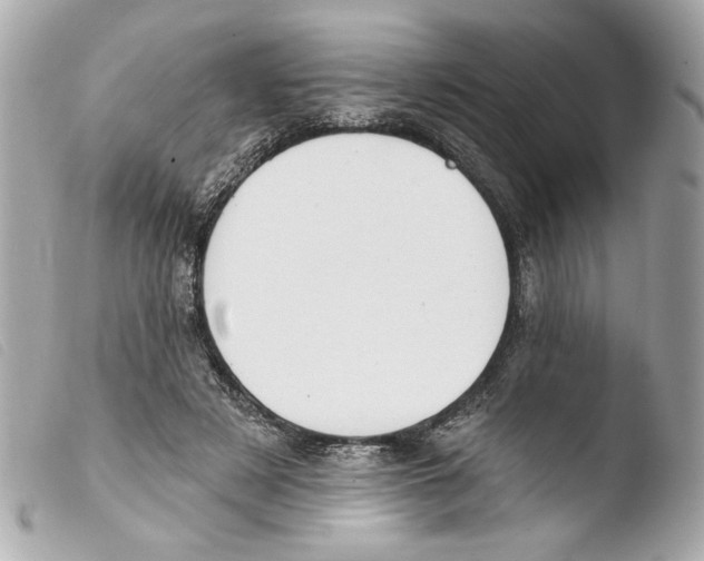 X0000103490497200810101026