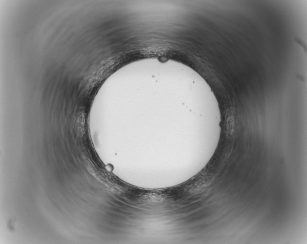 X0000103490498200810101026