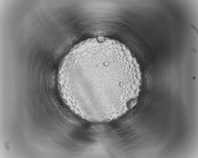 X0000103490499200810101026