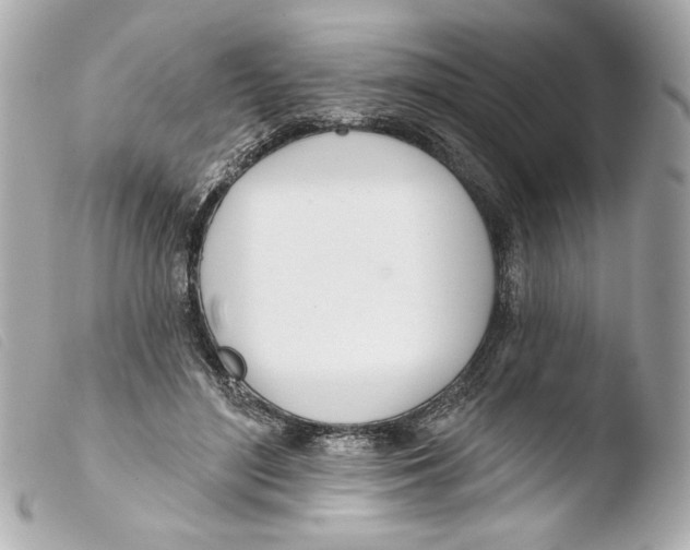 X0000103490500200810101026