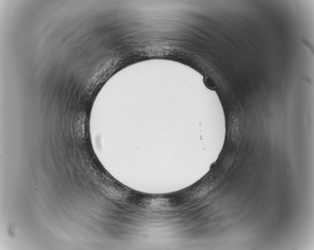 X0000103490501200810101026
