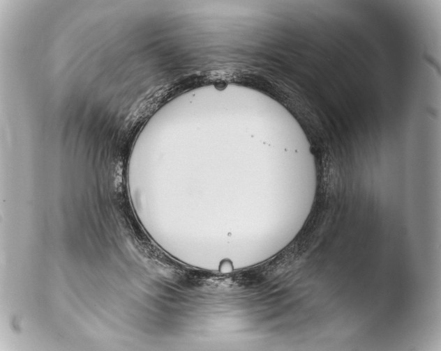 X0000103490502200810101026