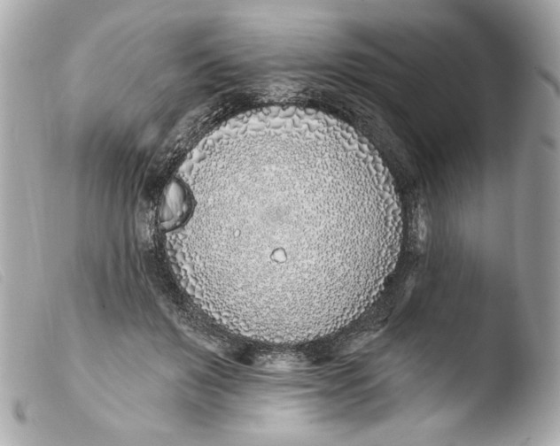 X0000103490503200810101026
