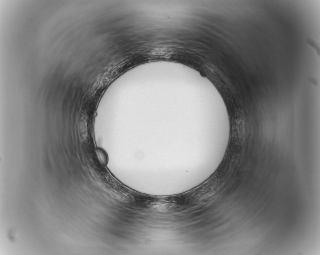 X0000103490504200810101026