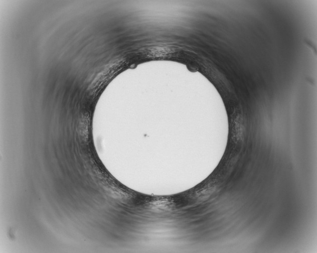 X0000103490505200810101026