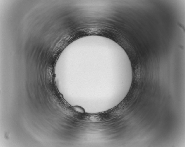 X0000103490506200810101026