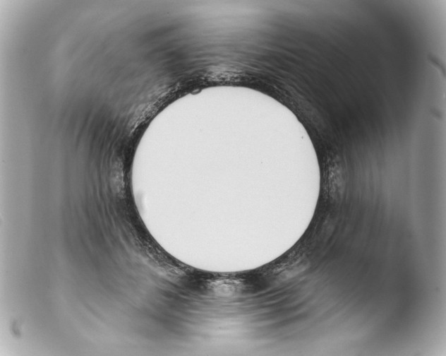 X0000103490508200810101026