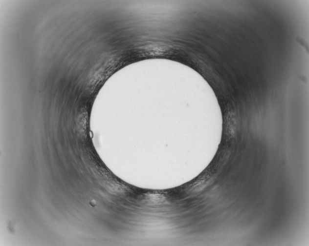 X0000103490509200810101026