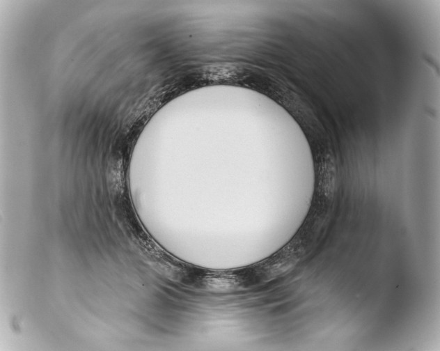 X0000103490510200810101026