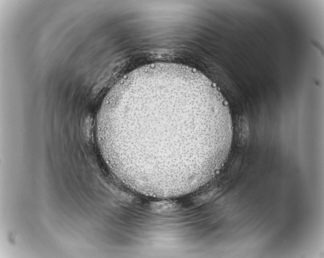 X0000103490511200810101026
