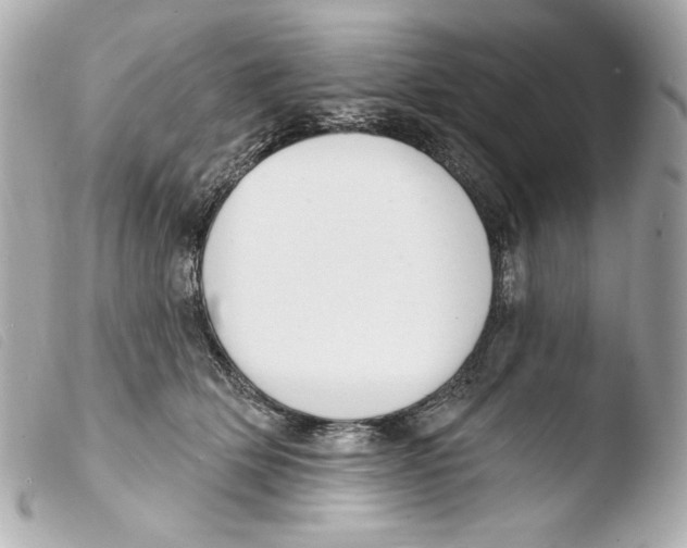 X0000103490514200810101026