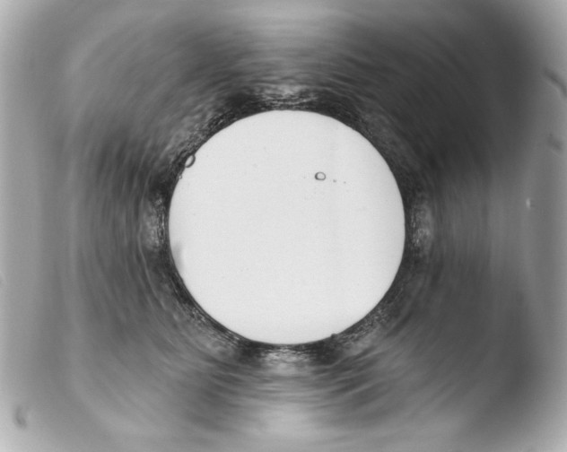 X0000103490515200810101026