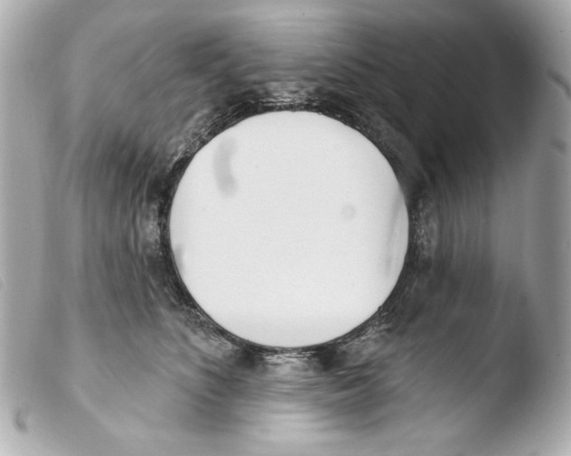 X0000103490516200810101026