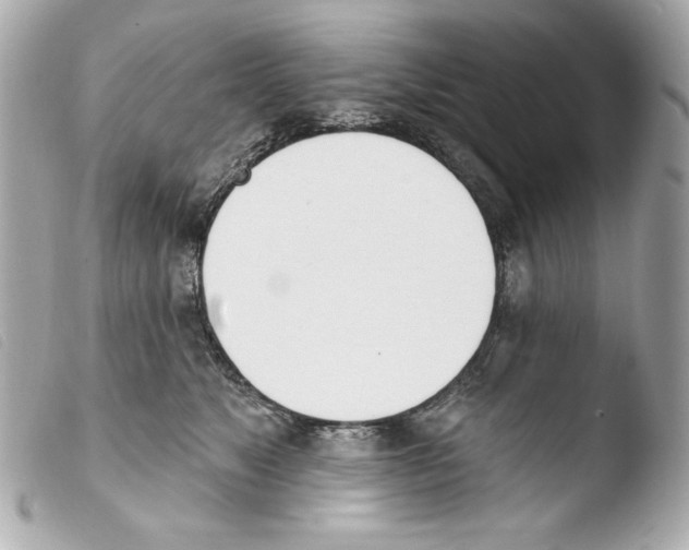 X0000103490517200810101026