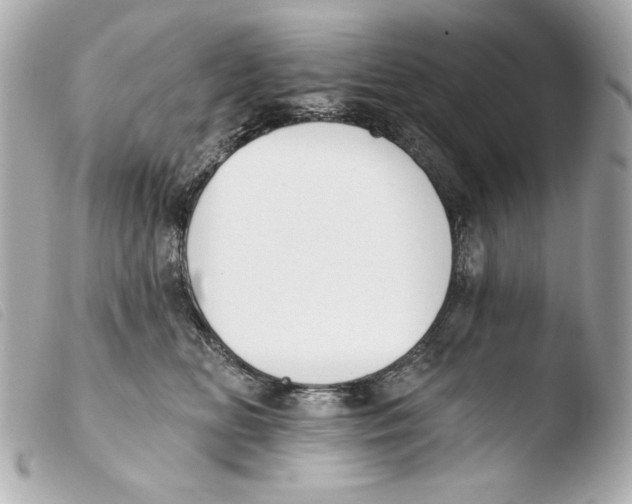 X0000103490518200810101026