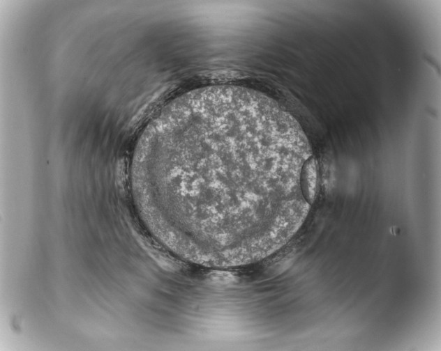X0000103490519200810101026