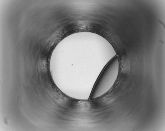 X0000103490520200810101026